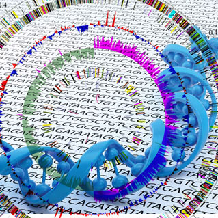 genome