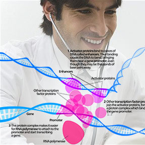 genome
